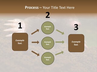 Harmful World Molehill PowerPoint Template