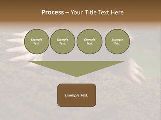 Harmful World Molehill PowerPoint Template
