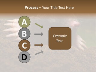 Harmful World Molehill PowerPoint Template
