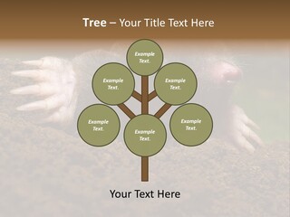 Harmful World Molehill PowerPoint Template