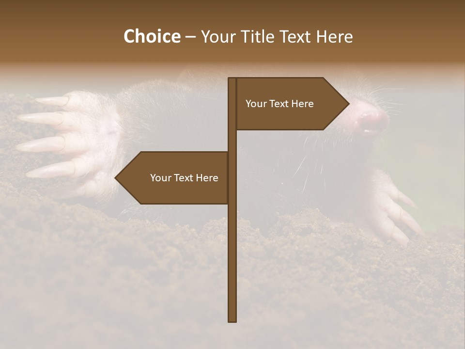 Harmful World Molehill PowerPoint Template