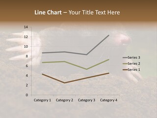 Harmful World Molehill PowerPoint Template