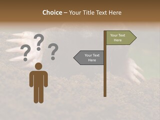 Harmful World Molehill PowerPoint Template