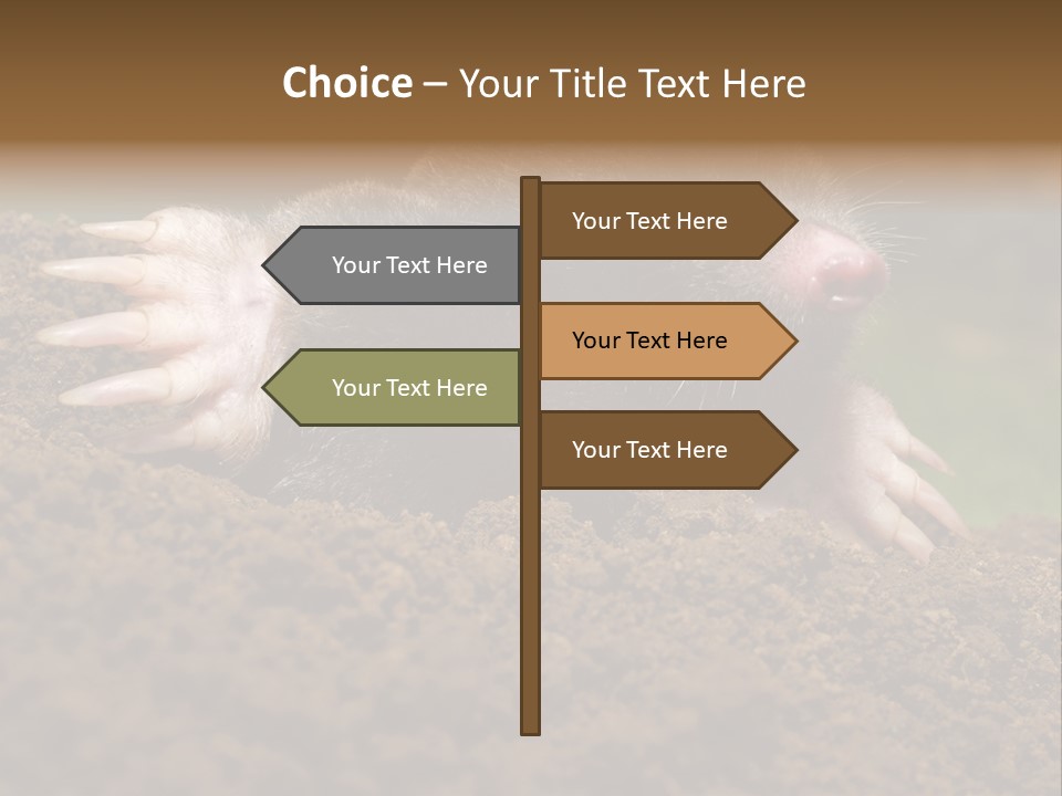 Harmful World Molehill PowerPoint Template
