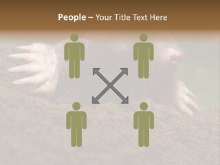 Harmful World Molehill PowerPoint Template