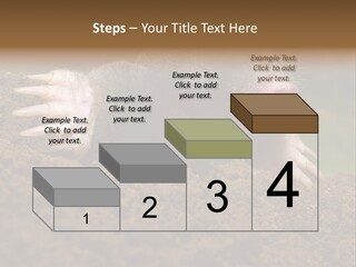 Harmful World Molehill PowerPoint Template