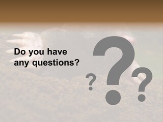 Harmful World Molehill PowerPoint Template