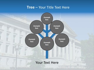 Regulation Capitol States PowerPoint Template