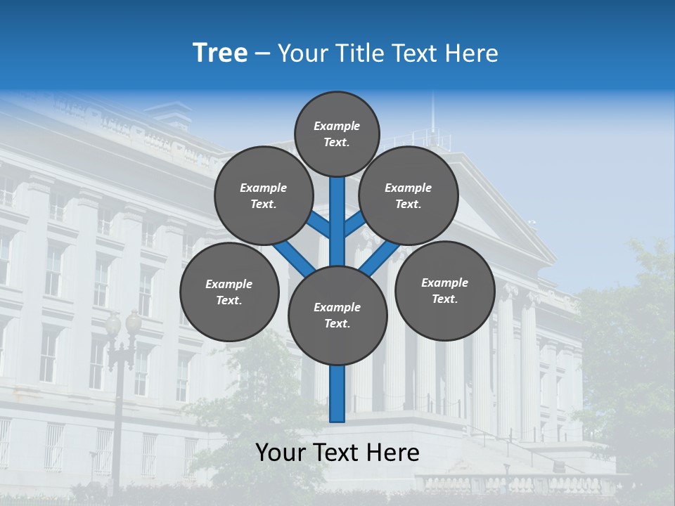 Regulation Capitol States PowerPoint Template