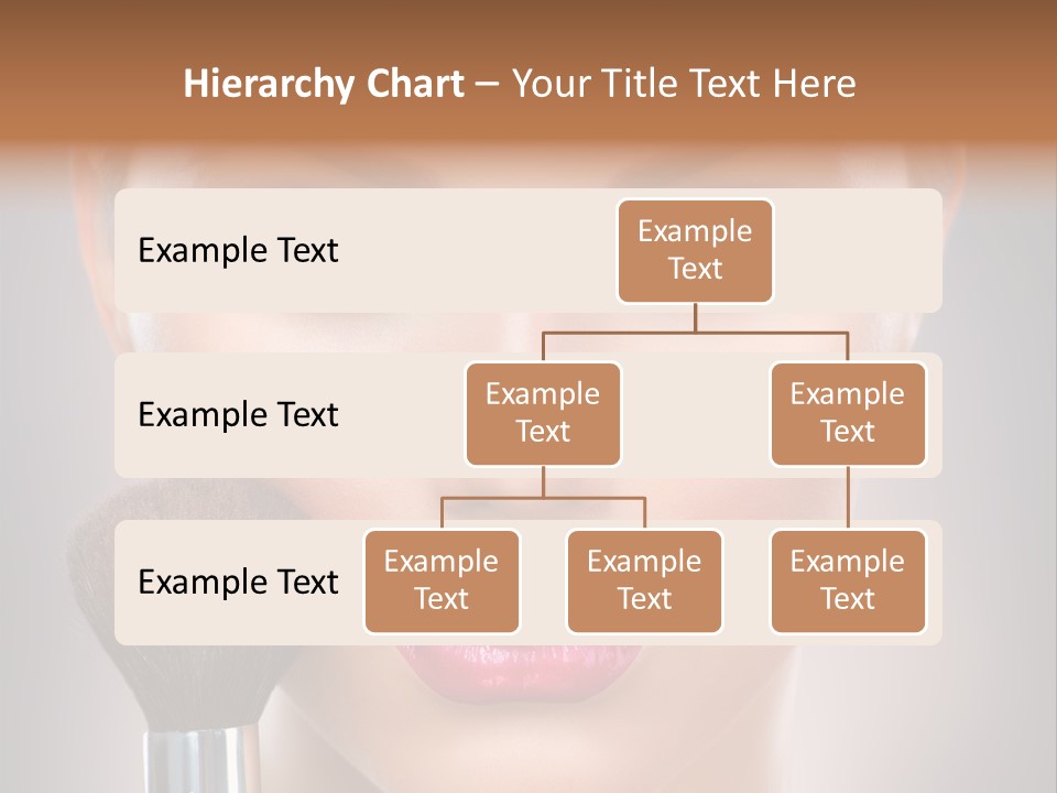 Shiny Closeup Applying PowerPoint Template