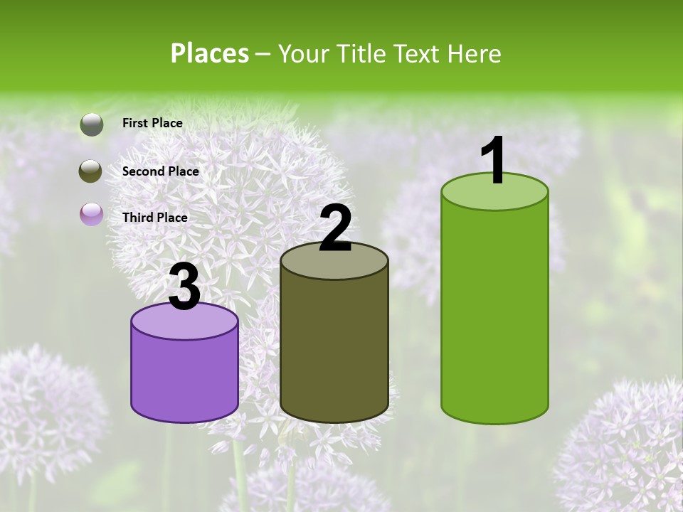 Onion Garlic Macro PowerPoint Template