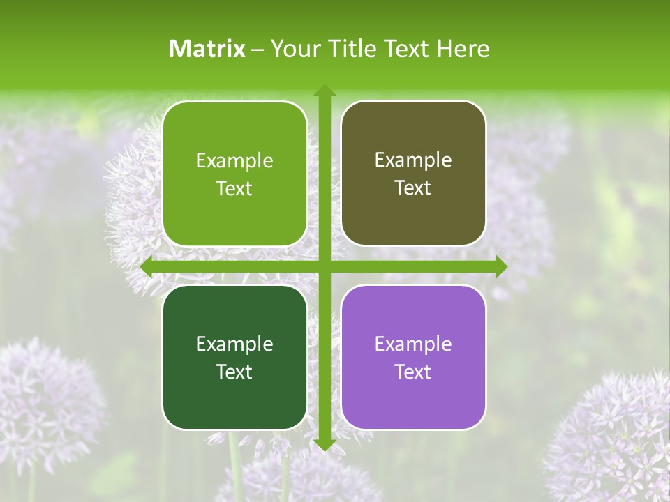 Onion Garlic Macro PowerPoint Template