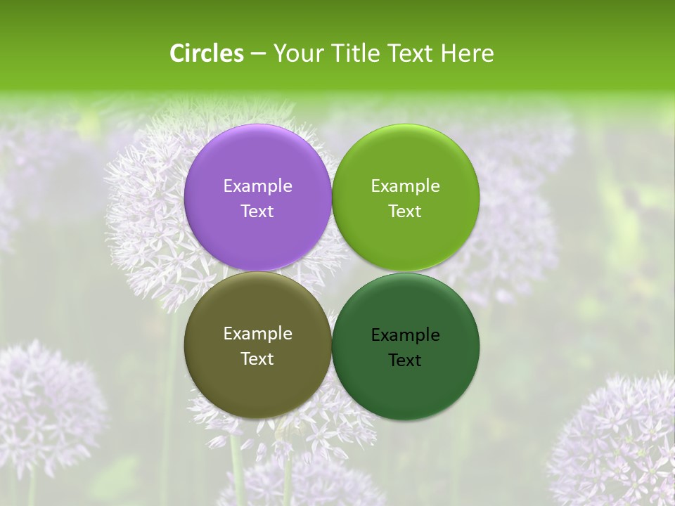 Onion Garlic Macro PowerPoint Template