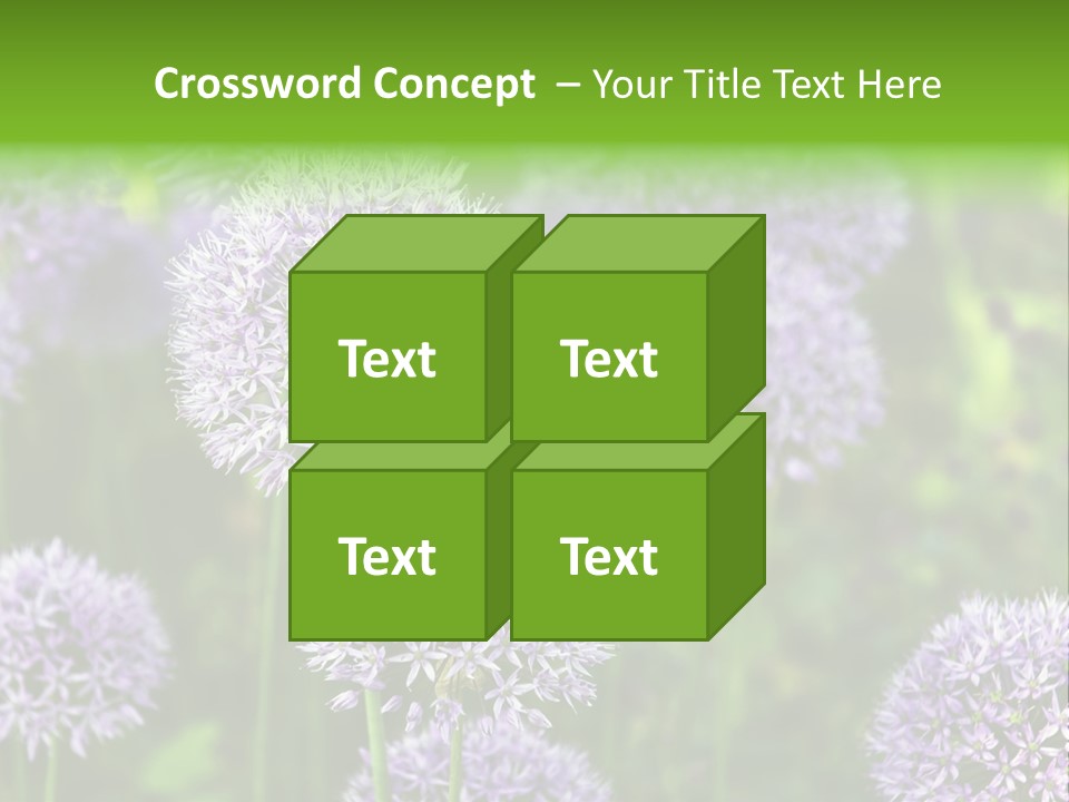 Onion Garlic Macro PowerPoint Template