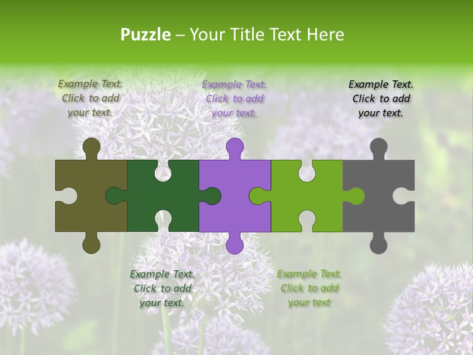 Onion Garlic Macro PowerPoint Template