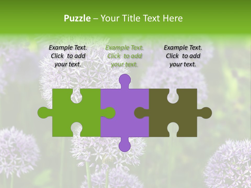 Onion Garlic Macro PowerPoint Template