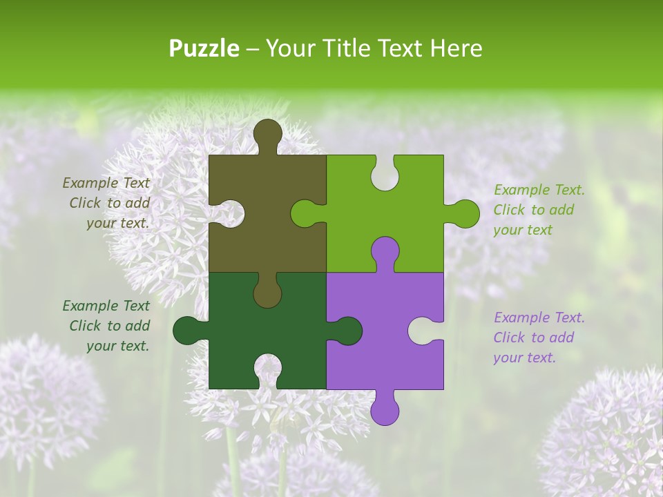 Onion Garlic Macro PowerPoint Template