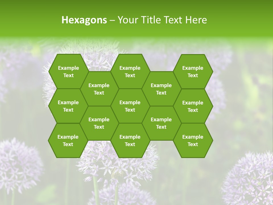 Onion Garlic Macro PowerPoint Template