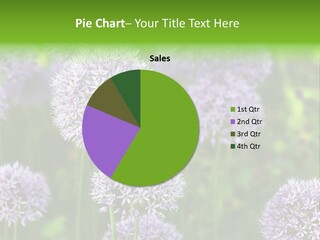 Onion Garlic Macro PowerPoint Template