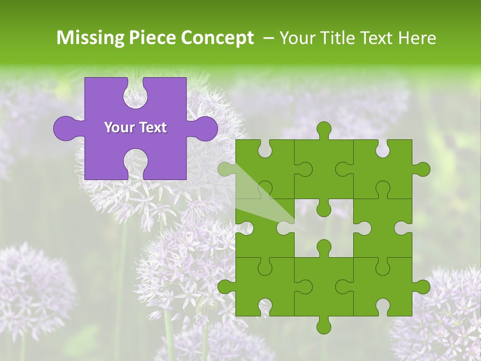 Onion Garlic Macro PowerPoint Template