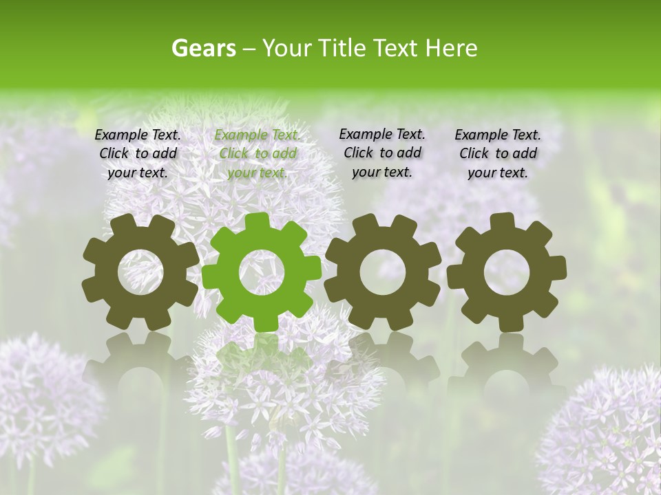 Onion Garlic Macro PowerPoint Template