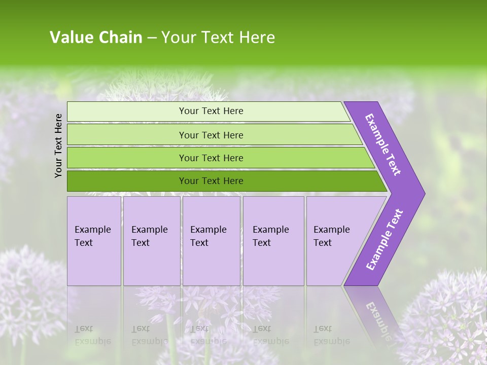 Onion Garlic Macro PowerPoint Template