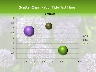 Onion Garlic Macro PowerPoint Template