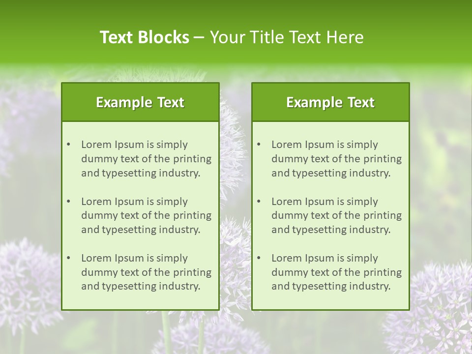Onion Garlic Macro PowerPoint Template
