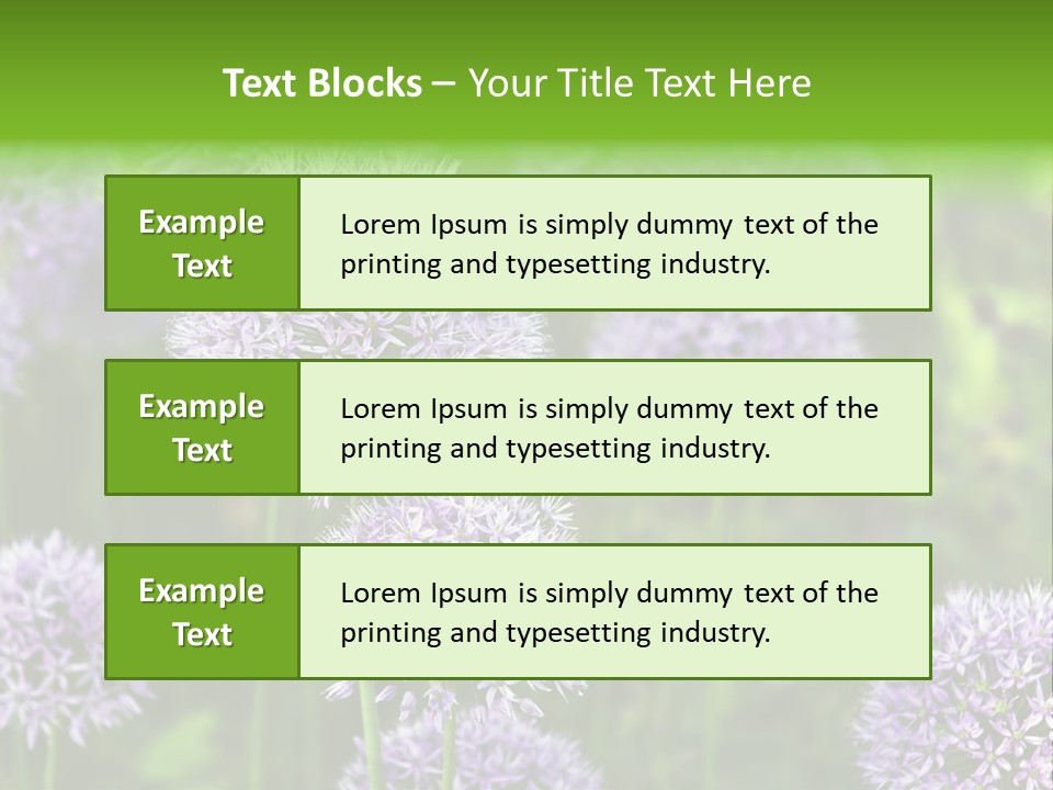 Onion Garlic Macro PowerPoint Template