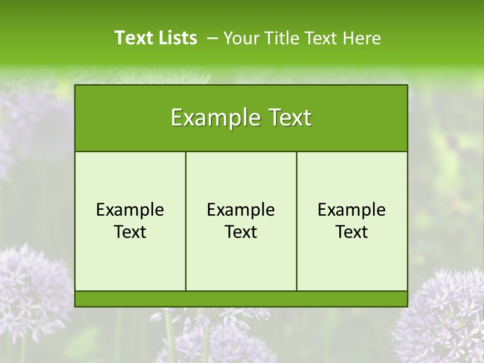 Onion Garlic Macro PowerPoint Template
