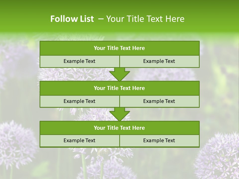 Onion Garlic Macro PowerPoint Template