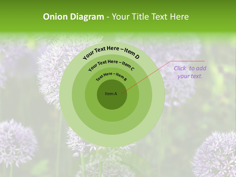 Onion Garlic Macro PowerPoint Template