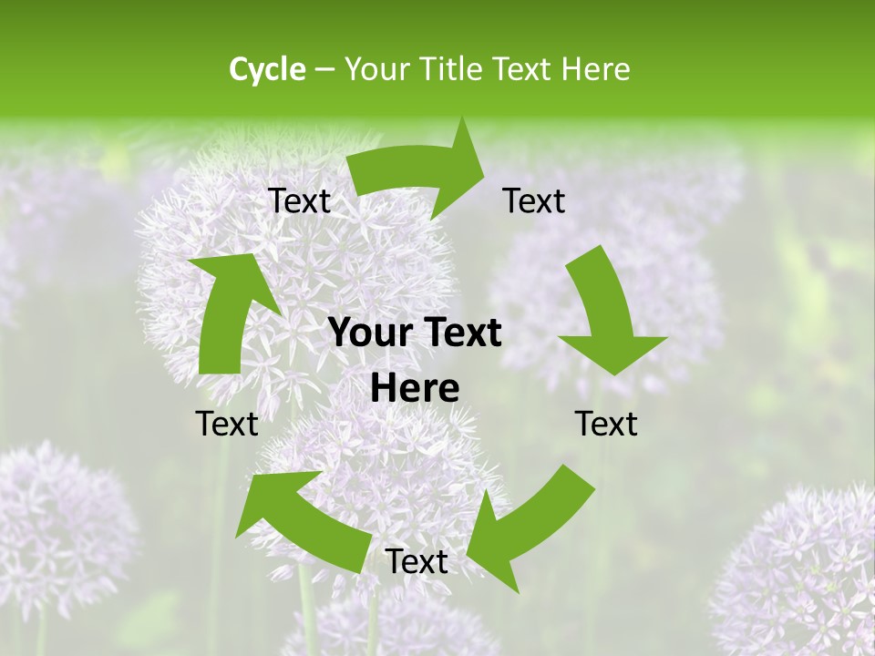 Onion Garlic Macro PowerPoint Template