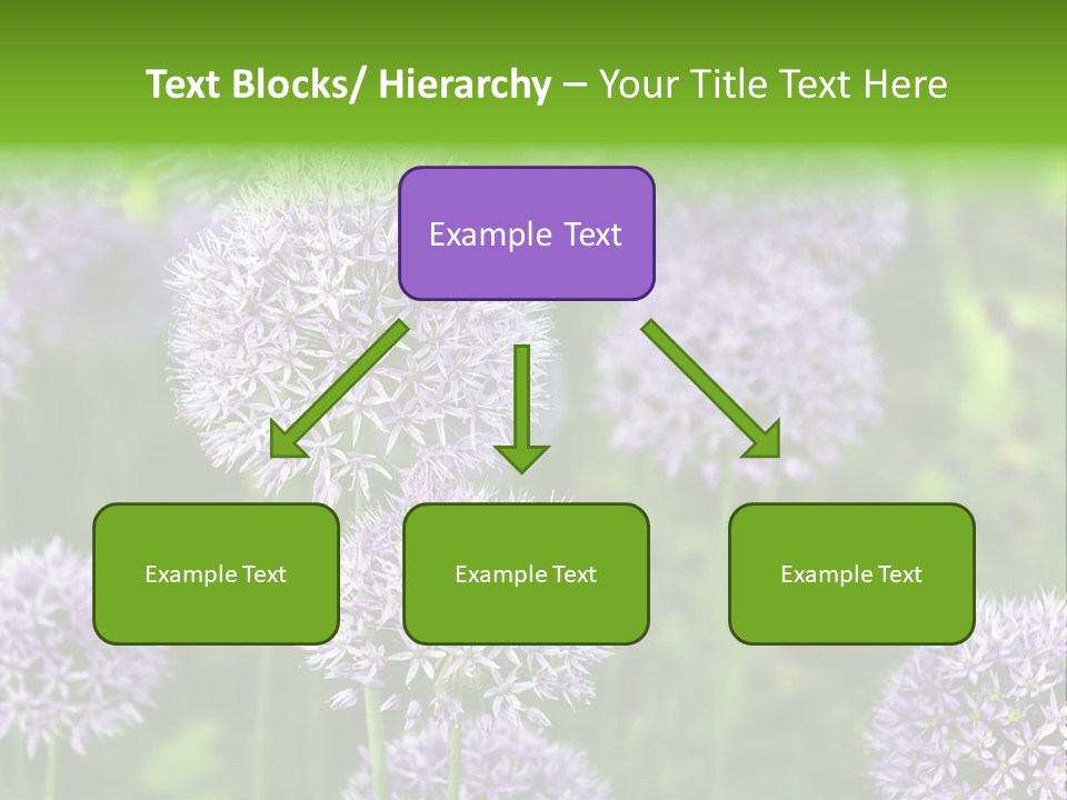 Onion Garlic Macro PowerPoint Template