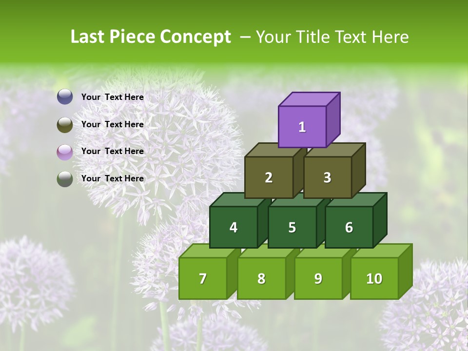 Onion Garlic Macro PowerPoint Template