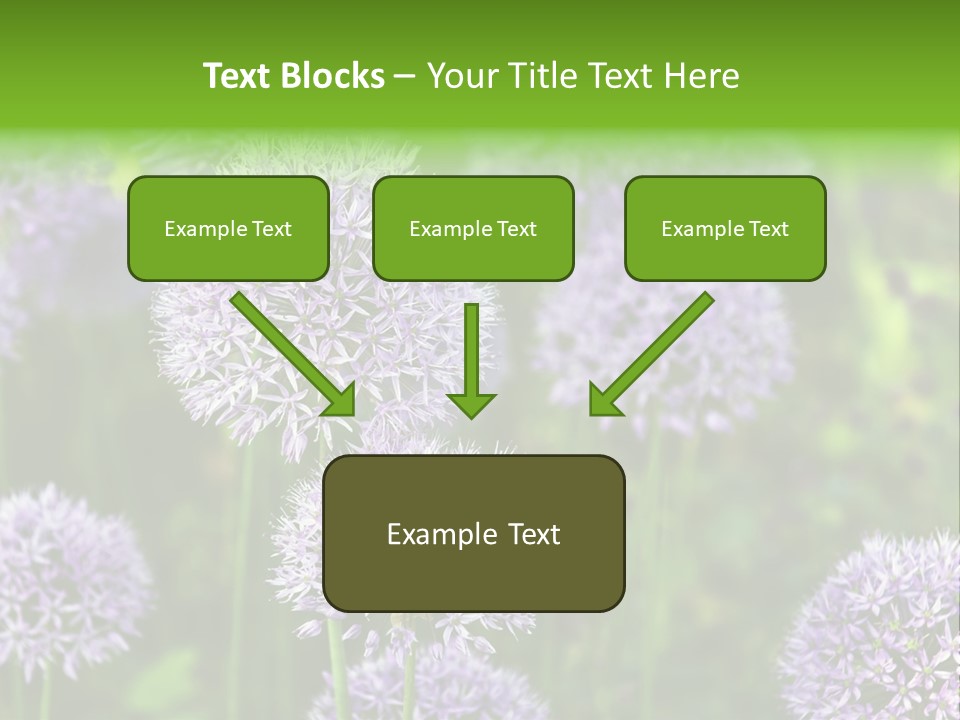 Onion Garlic Macro PowerPoint Template