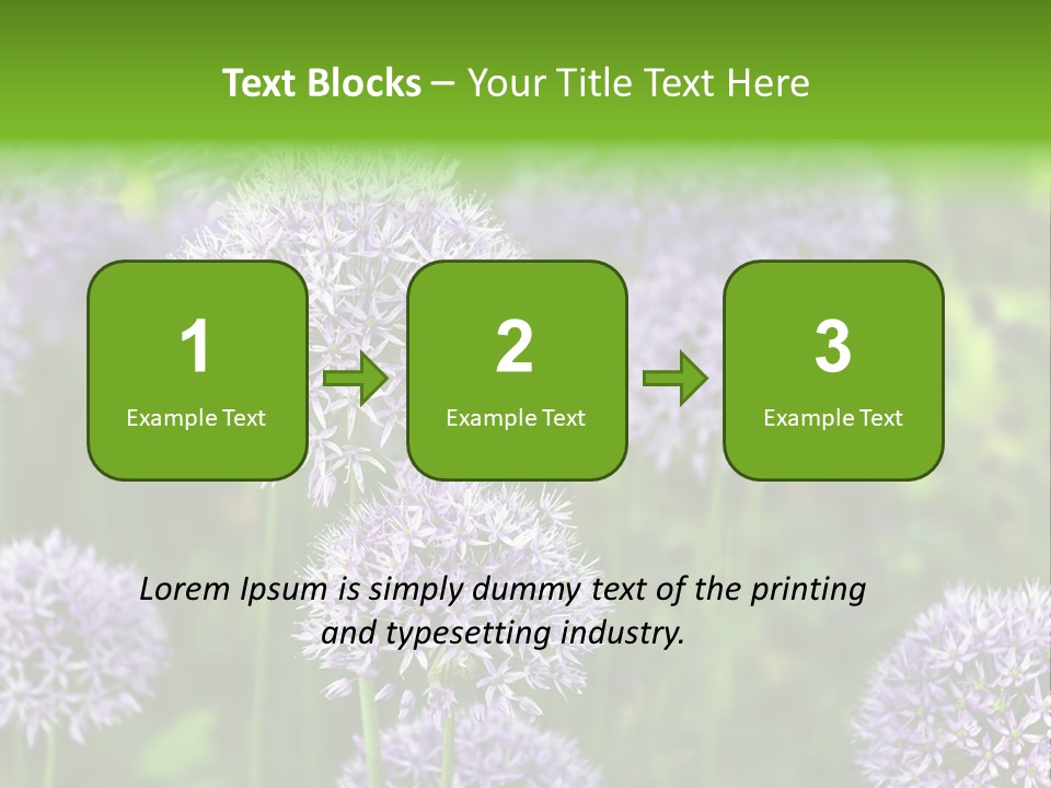 Onion Garlic Macro PowerPoint Template
