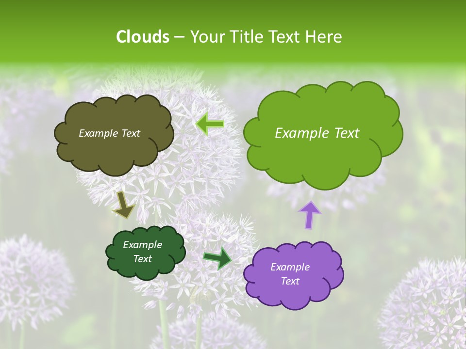 Onion Garlic Macro PowerPoint Template