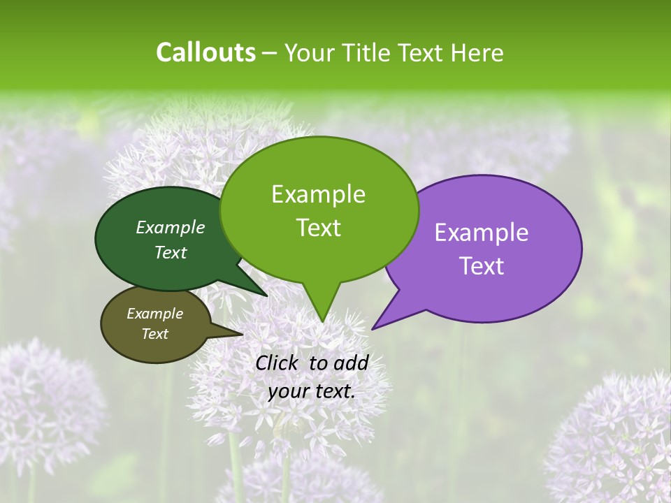 Onion Garlic Macro PowerPoint Template