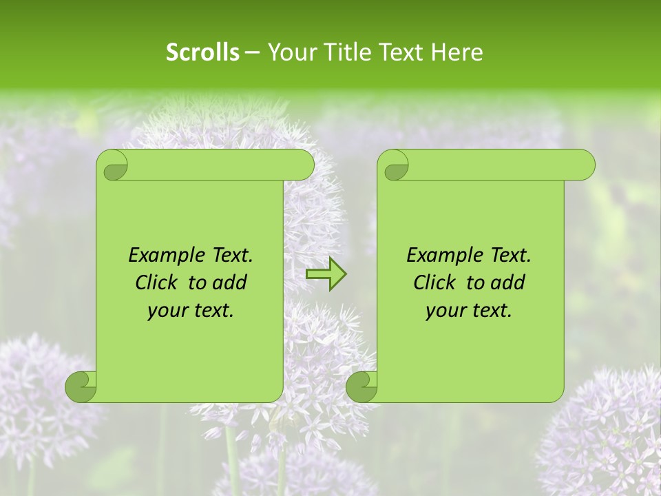 Onion Garlic Macro PowerPoint Template