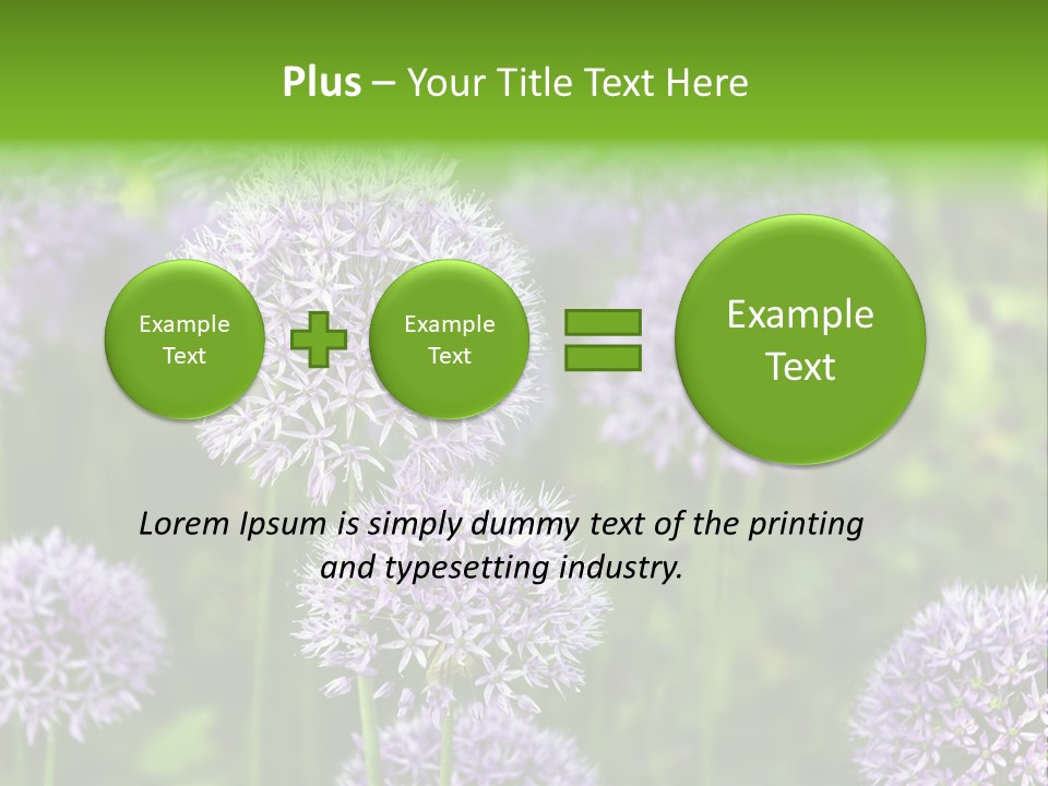 Onion Garlic Macro PowerPoint Template