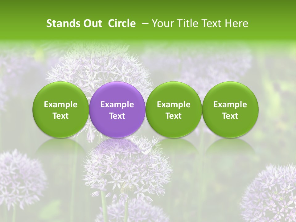 Onion Garlic Macro PowerPoint Template