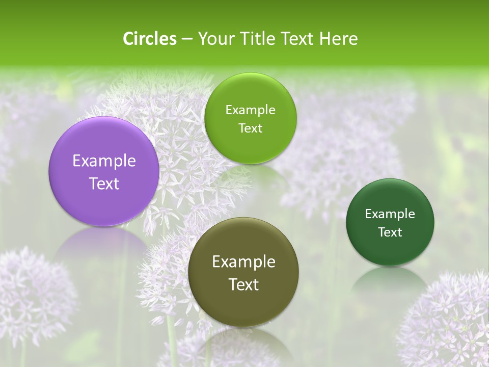 Onion Garlic Macro PowerPoint Template