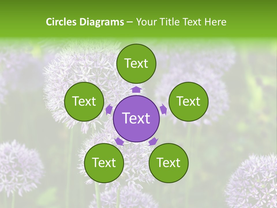 Onion Garlic Macro PowerPoint Template