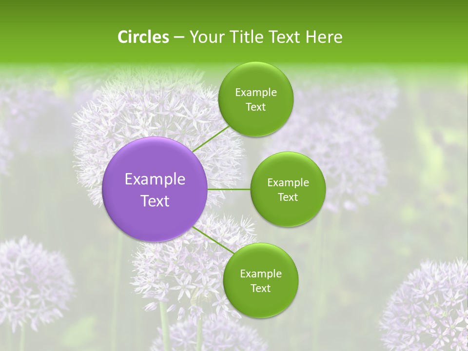 Onion Garlic Macro PowerPoint Template