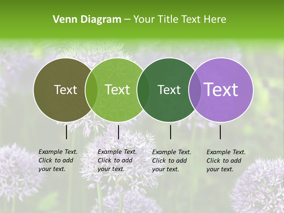 Onion Garlic Macro PowerPoint Template