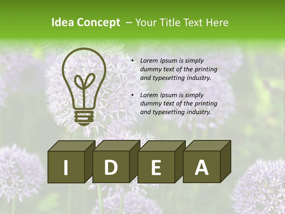 Onion Garlic Macro PowerPoint Template