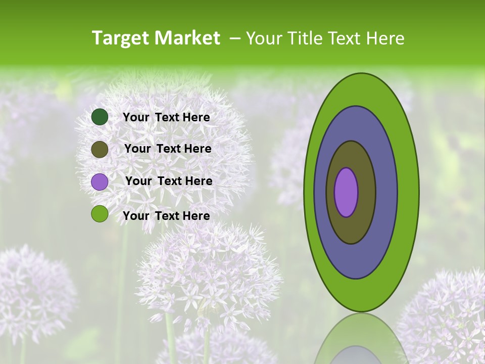 Onion Garlic Macro PowerPoint Template