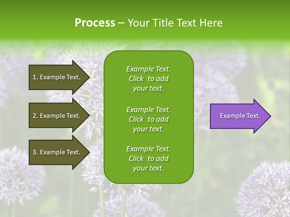 Onion Garlic Macro PowerPoint Template