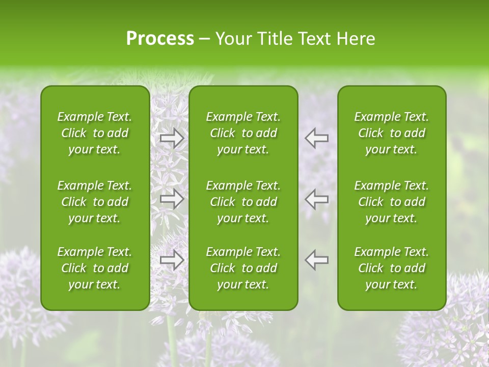 Onion Garlic Macro PowerPoint Template